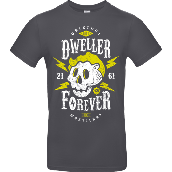 Dweller Forever B&C EXACT 190 - Dark Grey
