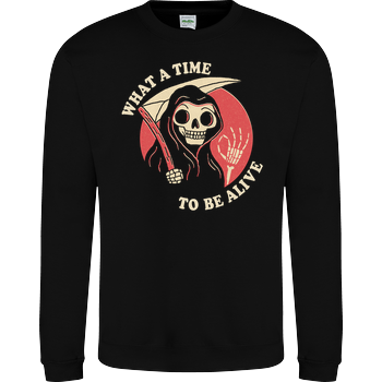 What a time to be alive JH Sweatshirt - Schwarz