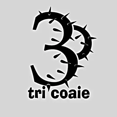 3Coaie
